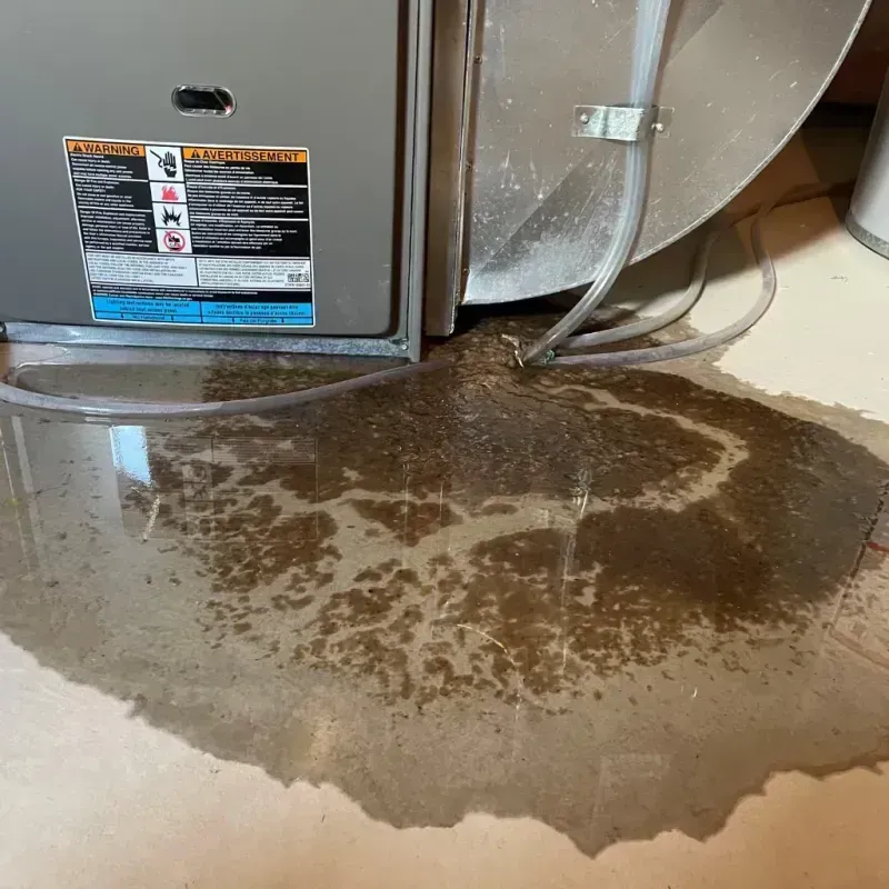 Appliance Leak Cleanup in Fremont, MI